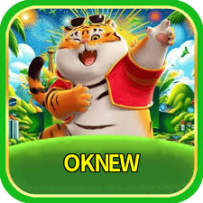 OKNEW logo